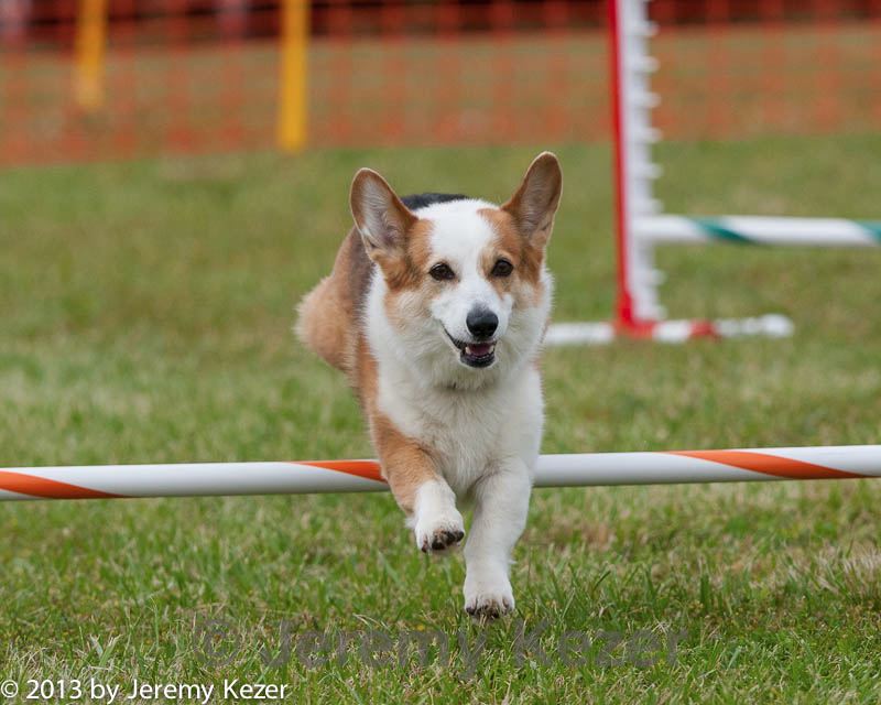 20130614-cckc-0798.jpg