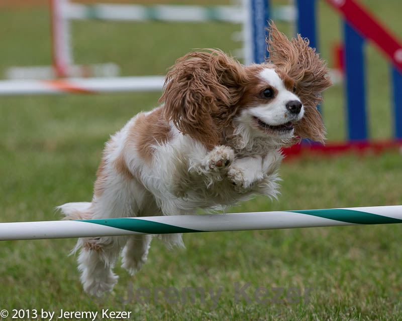 20130614-cckc-0451.jpg