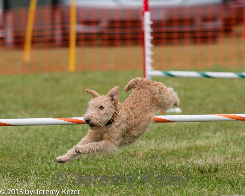 20130614-cckc-0548.jpg