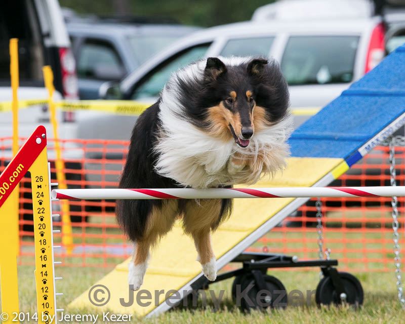 20140614-1697.jpg