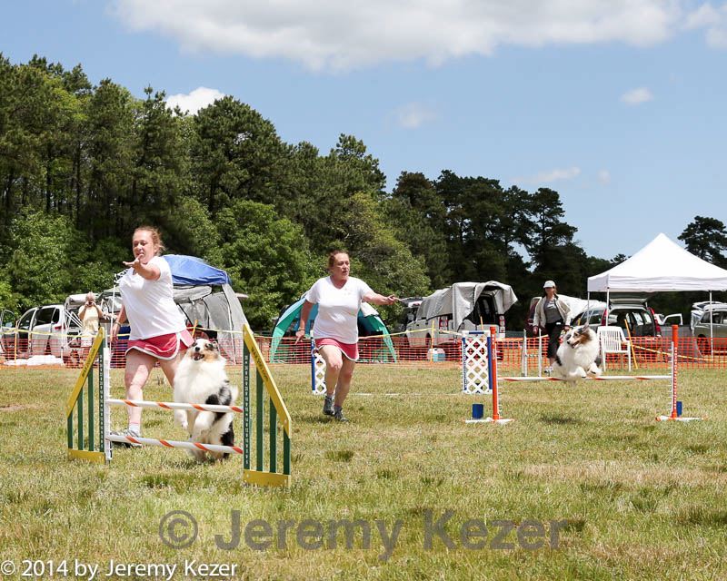 20140615-comp-0062.jpg