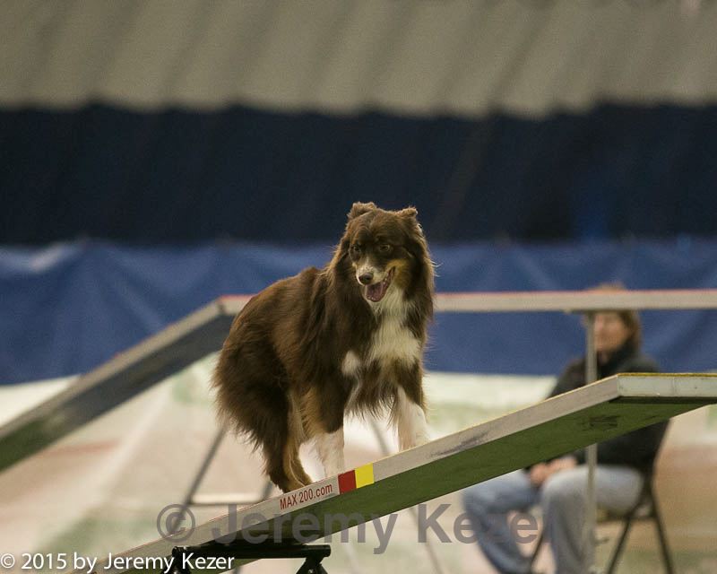 20150321-leap-0950.jpg