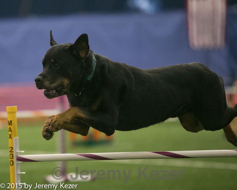 20150321-leap-0685.jpg