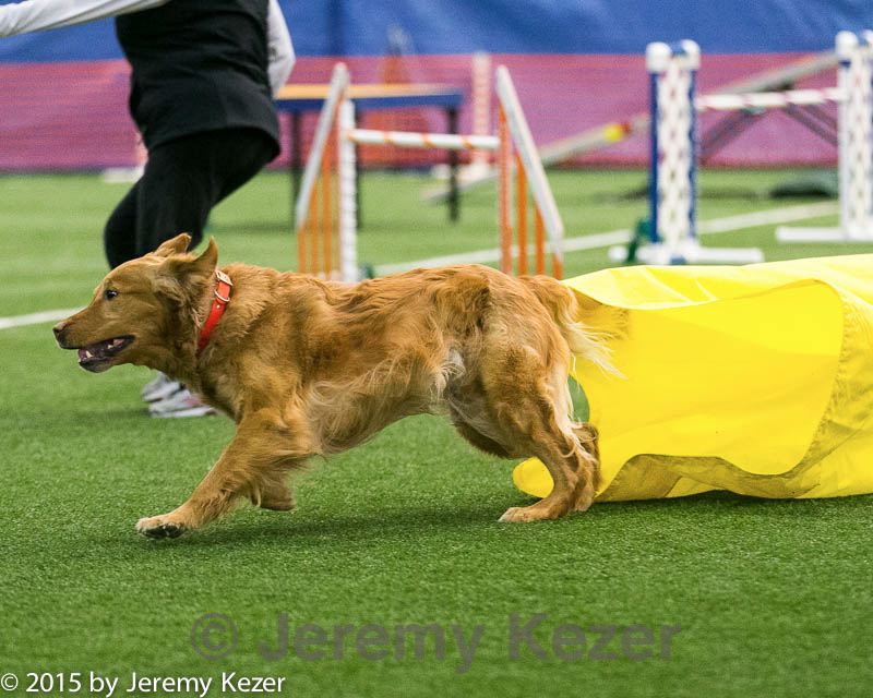 20150322-leap-0729.jpg