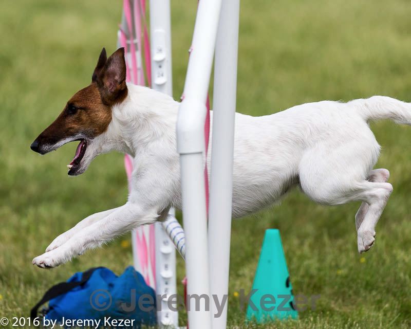 20160515-neat-1642.jpg