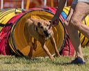 20180617-0678