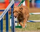 20180617-1430