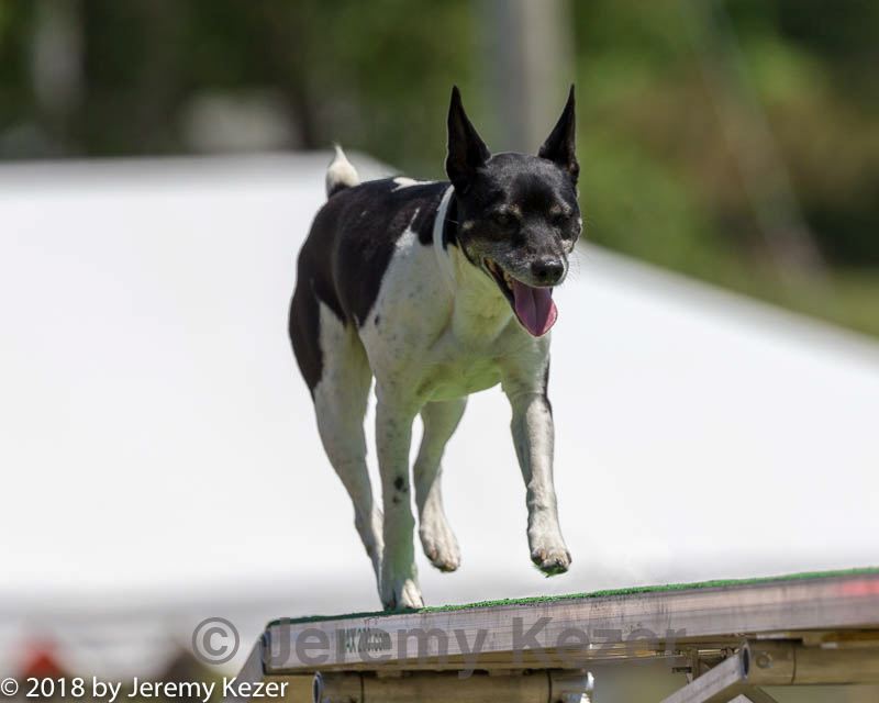20180617-1318.jpg