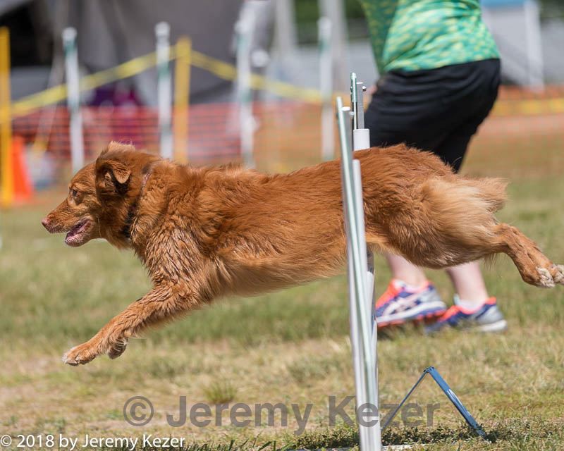 20180617-1436.jpg