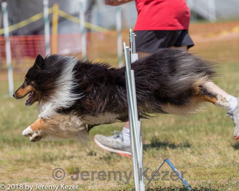 20180617-1445.jpg