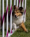 20230916-pvkc-1144