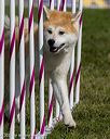 20230916-pvkc-1286