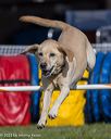 20230916-pvkc-1397