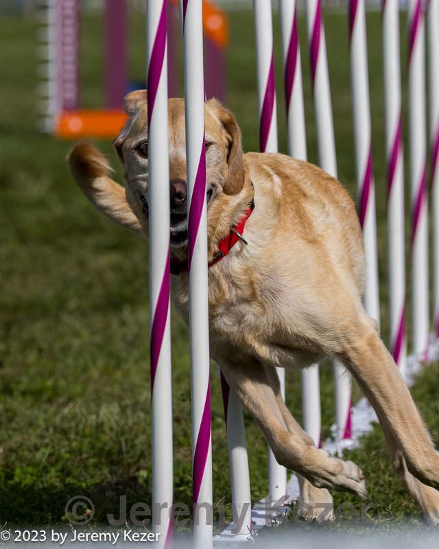 20230916-pvkc-1307.jpg