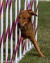20230916-pvkc-1519