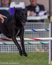 20230916-pvkc-1526