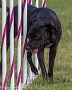 20230916-pvkc-1527