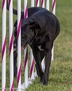 20230916-pvkc-1528