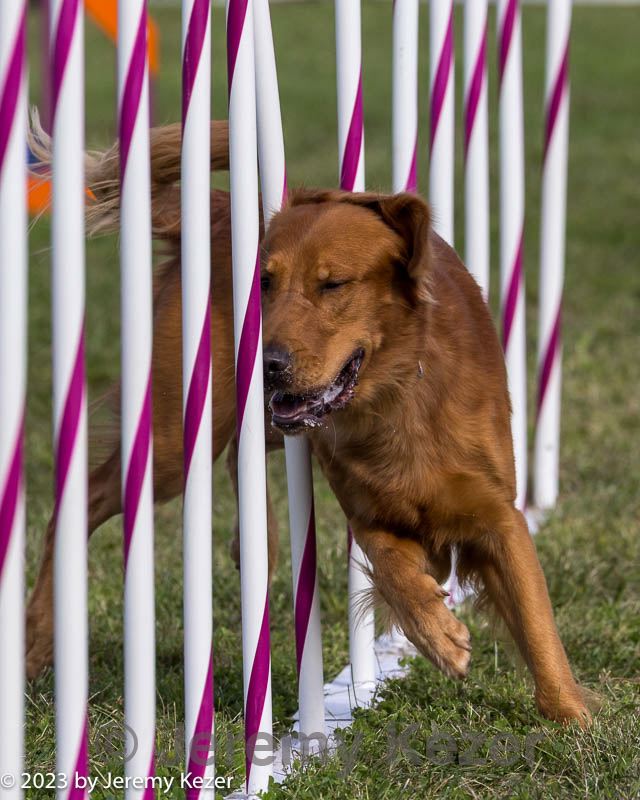 20230916-pvkc-1518.jpg