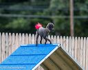 20230916-pvkc-0013