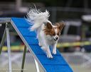 20230916-pvkc-0024