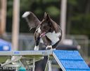 20230916-pvkc-0042