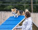 20230916-pvkc-0076