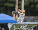 20230916-pvkc-0079