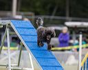 20230916-pvkc-0116