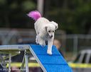 20230916-pvkc-0125