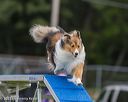 20230916-pvkc-0134