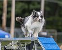 20230916-pvkc-0145