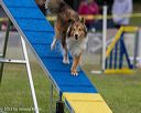 20230916-pvkc-0203