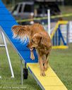 20230916-pvkc-0468