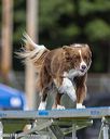 20230916-pvkc-0538