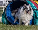 20230916-pvkc-1591