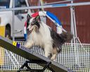 20230916-pvkc-1594