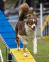 20230916-pvkc-0919