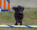 20230916-pvkc-2002