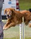 20230916-pvkc-2135