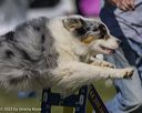 20230917-pvkc-0035