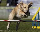 20230917-pvkc-0044
