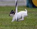 20230917-pvkc-3081