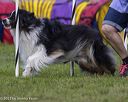 20230917-pvkc-2778