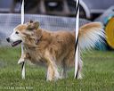 20230917-pvkc-2796