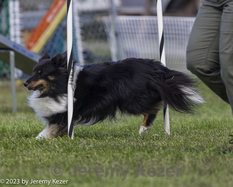 20230917-pvkc-2641.jpg