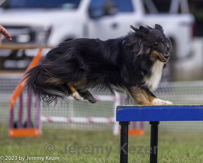 20230917-pvkc-2644.jpg