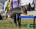 20230917-pvkc-2160