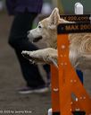 20250614-ccm-0223
