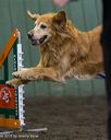 20250614-ccm-0302